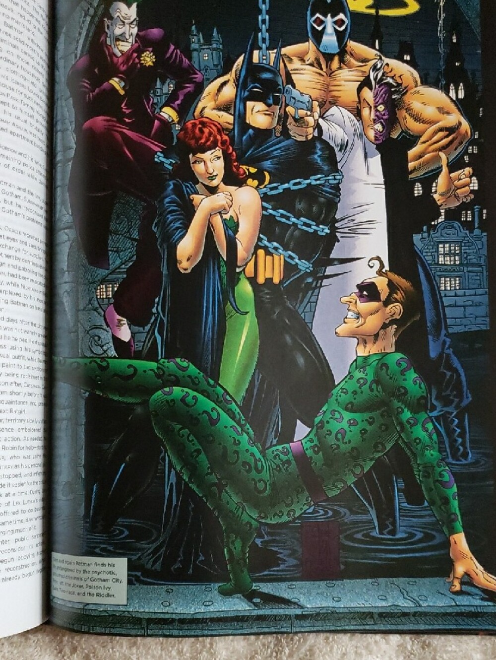 The Essential Batman Encyclopedia - Bold Graphic Cover - Picture 6 of 6